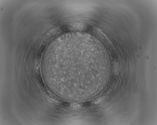 X0000089970701200707131423