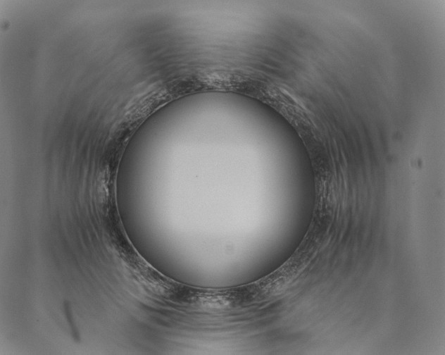 X0000089970702200707131423