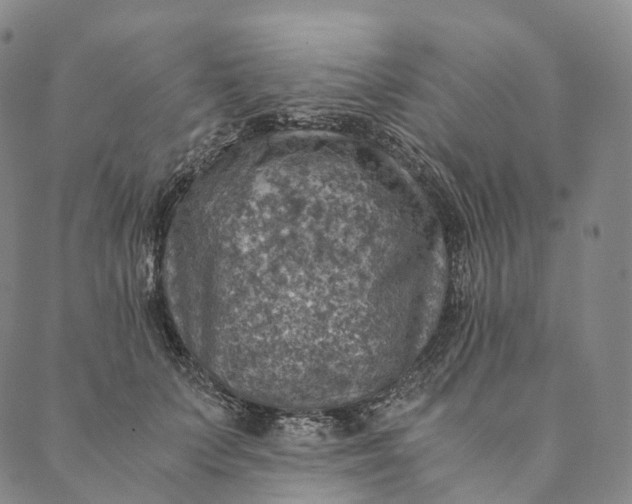 X0000089970703200707131423