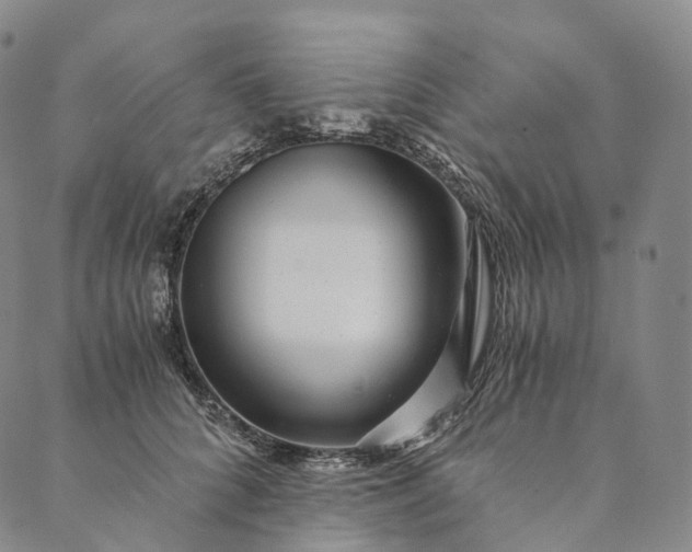 X0000089970704200707131423