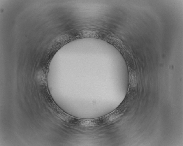 X0000089970705200707131423