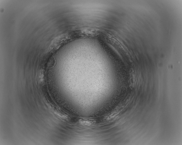 X0000089970706200707131423