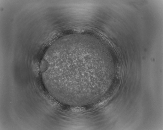 X0000089970707200707131423