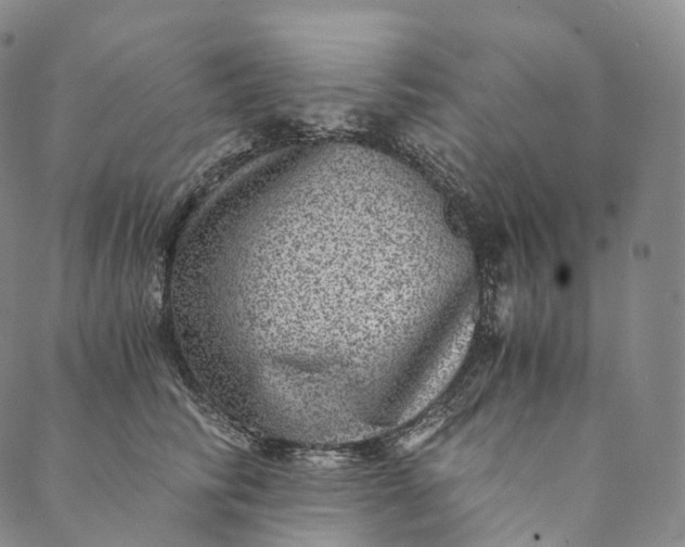 X0000089970710200707131423