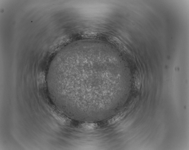 X0000089970711200707131423