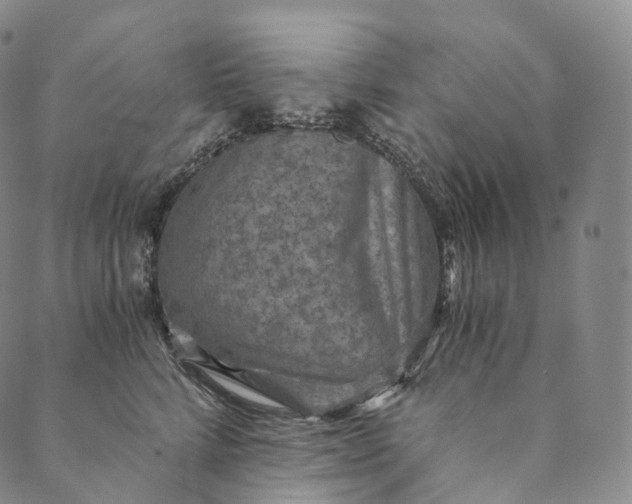 X0000089970712200707131423