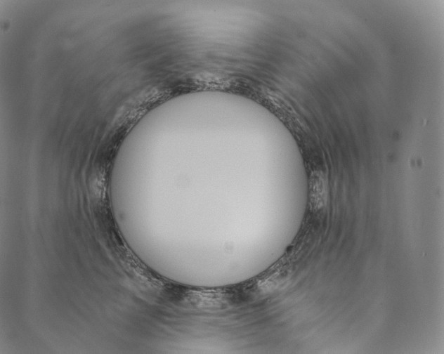 X0000089970713200707131423