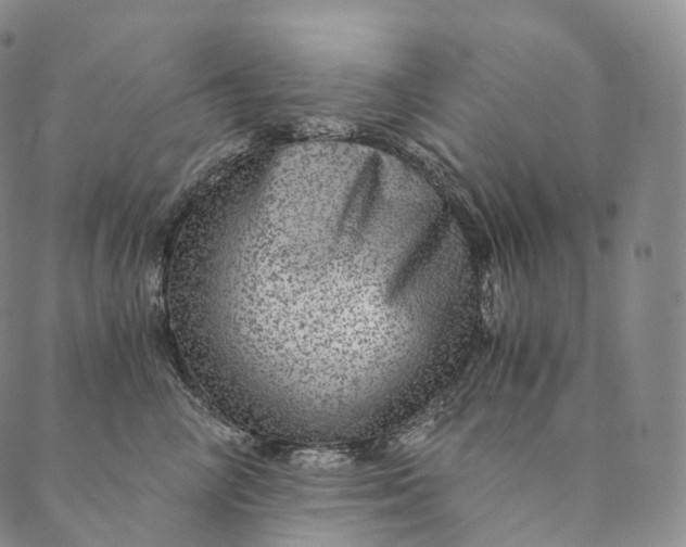 X0000089970714200707131423