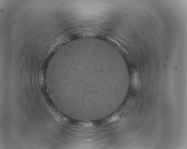 X0000089970715200707131423