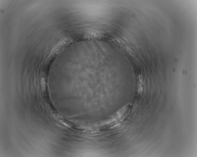 X0000089970716200707131423