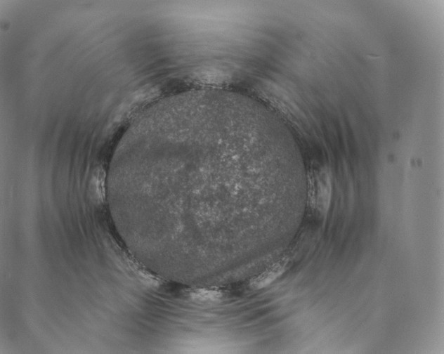 X0000089970718200707131423