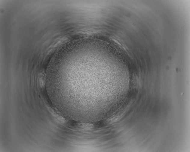 X0000089970719200707131423