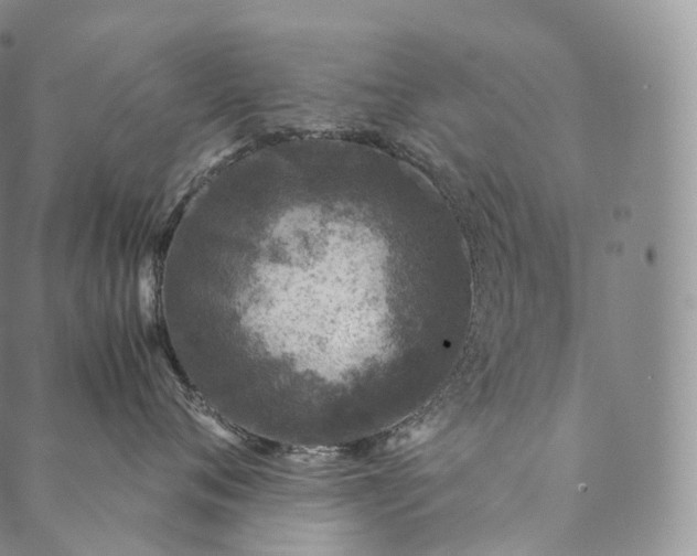 X0000089970720200707131423