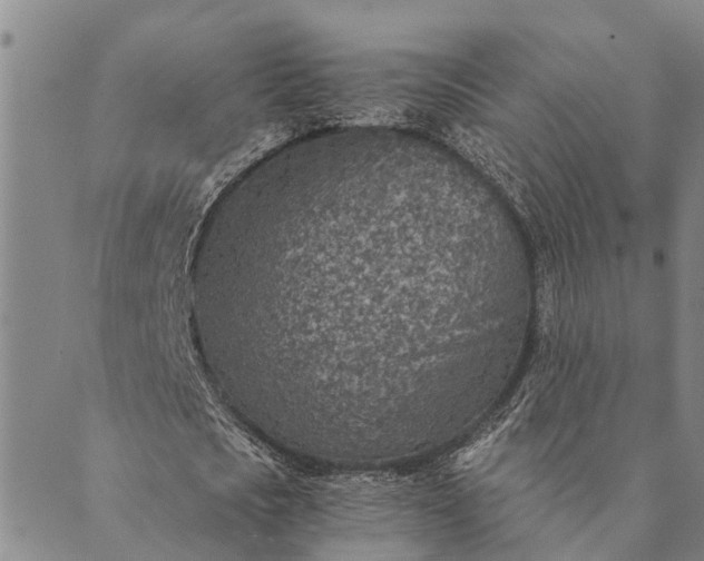 X0000089970721200707131422