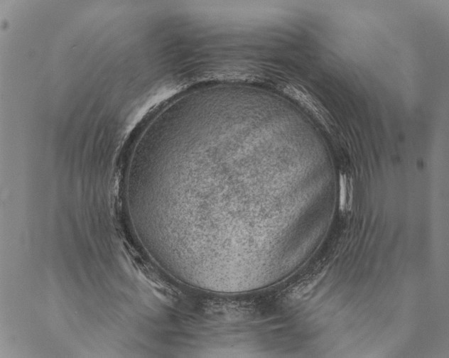 X0000089970723200707131422