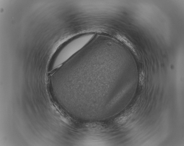 X0000089970724200707131422