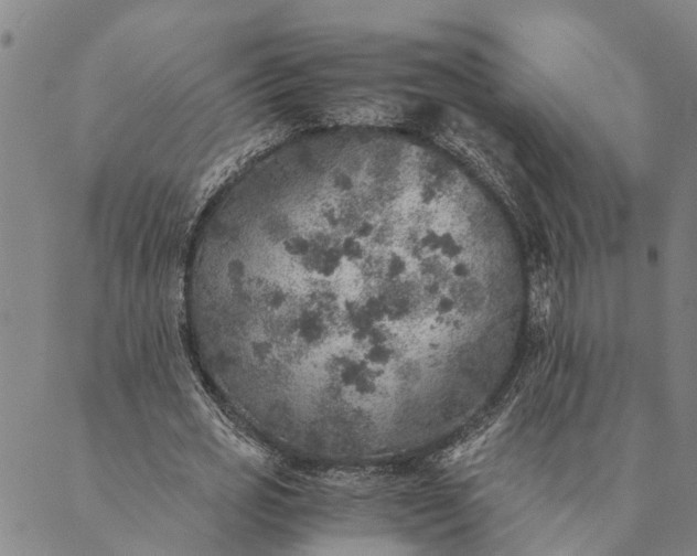 X0000089970725200707131422