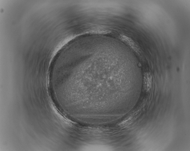 X0000089970726200707131422