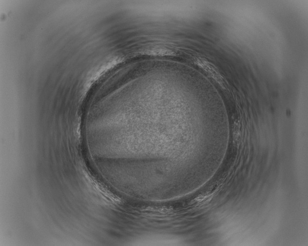 X0000089970727200707131422