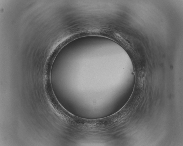 X0000089970728200707131422