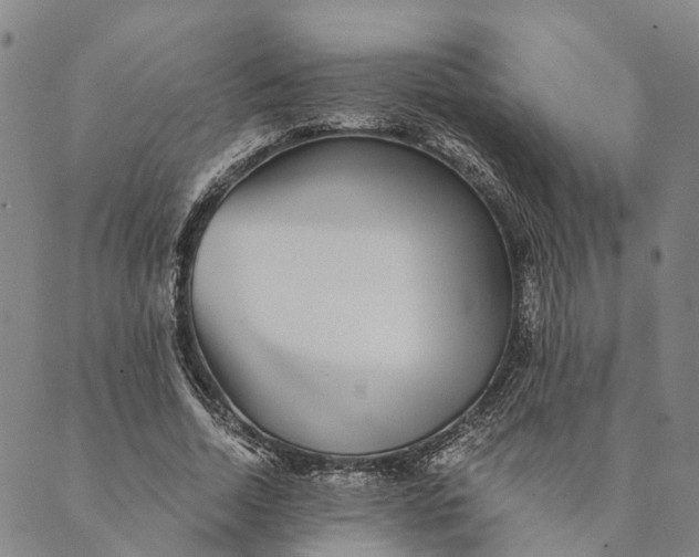 X0000089970730200707131422