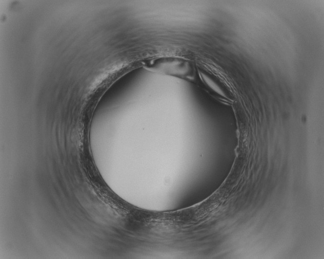 X0000089970732200707131422