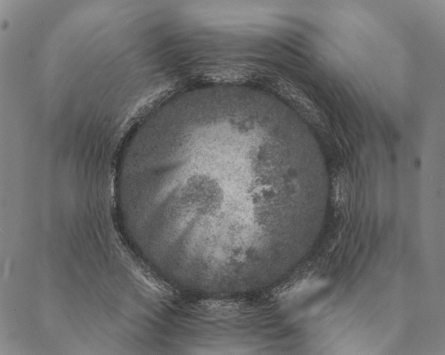 X0000089970733200707131422