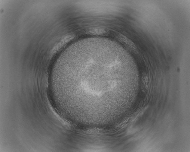 X0000089970734200707131422