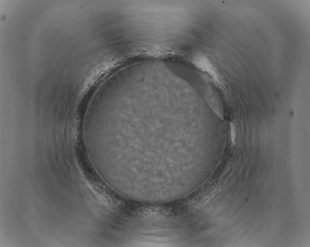 X0000089970736200707131422