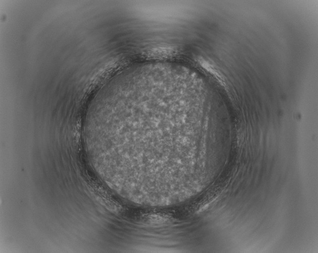 X0000089970737200707131422