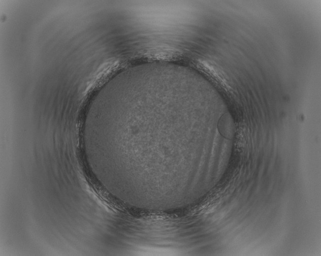 X0000089970738200707131422