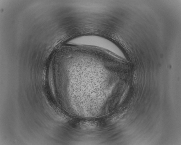 X0000089970739200707131422