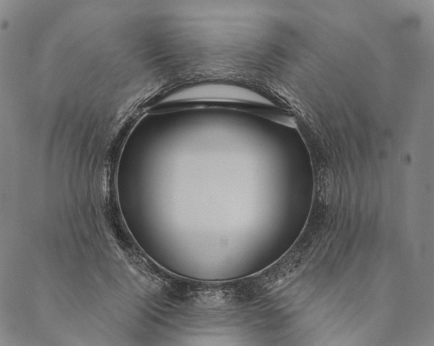 X0000089970740200707131422