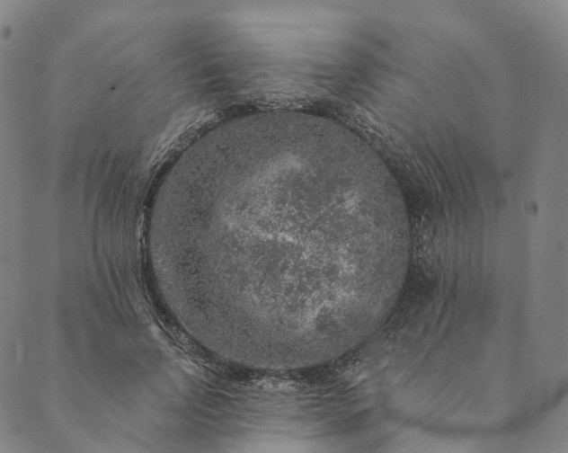 X0000089970742200707131422