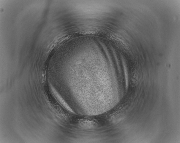 X0000089970743200707131422