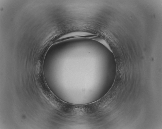 X0000089970744200707131422