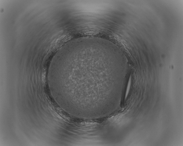 X0000089970745200707131422