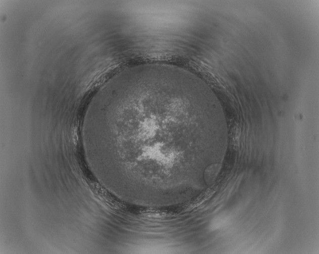 X0000089970746200707131422