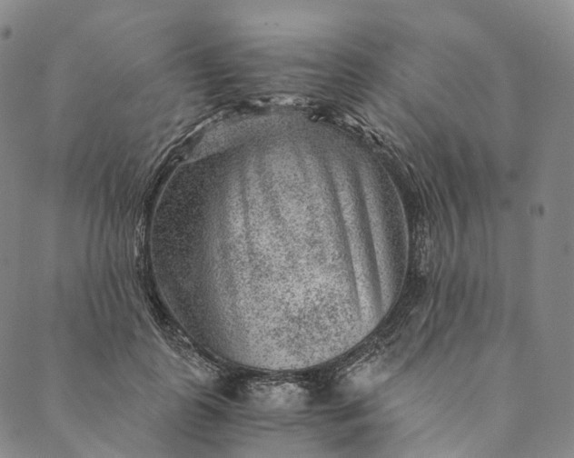 X0000089970747200707131422