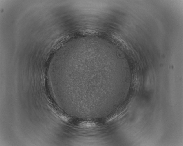 X0000089970749200707131422