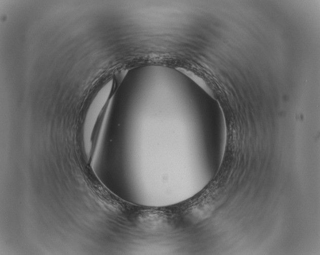 X0000089970750200707131422