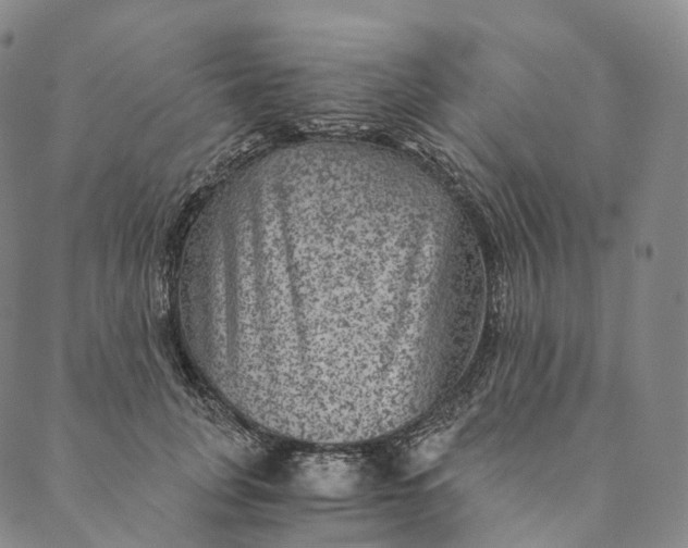 X0000089970751200707131422