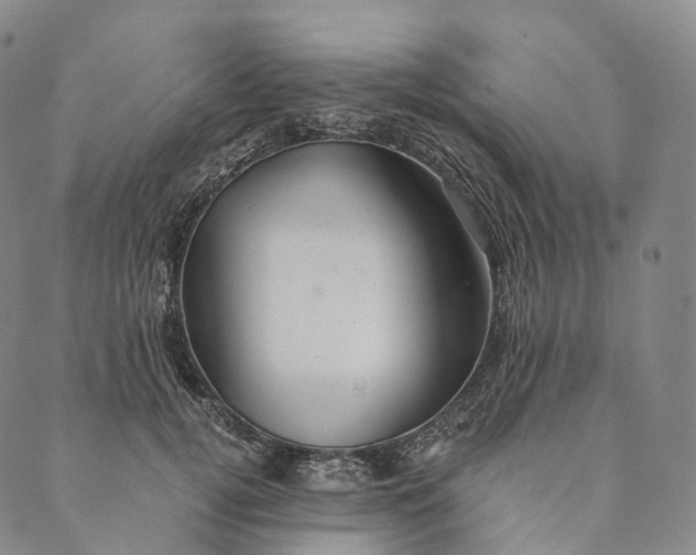 X0000089970752200707131422