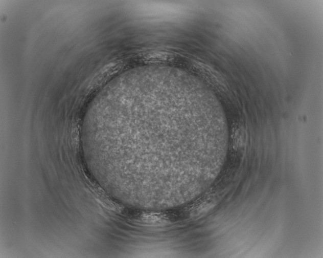 X0000089970753200707131422