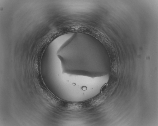 X0000089970754200707131422