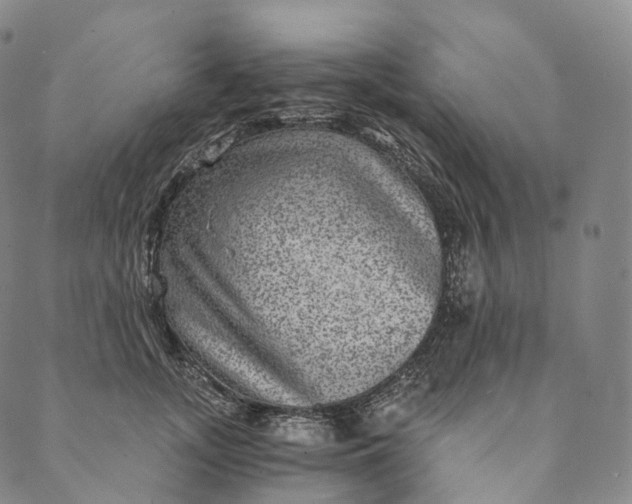 X0000089970755200707131422