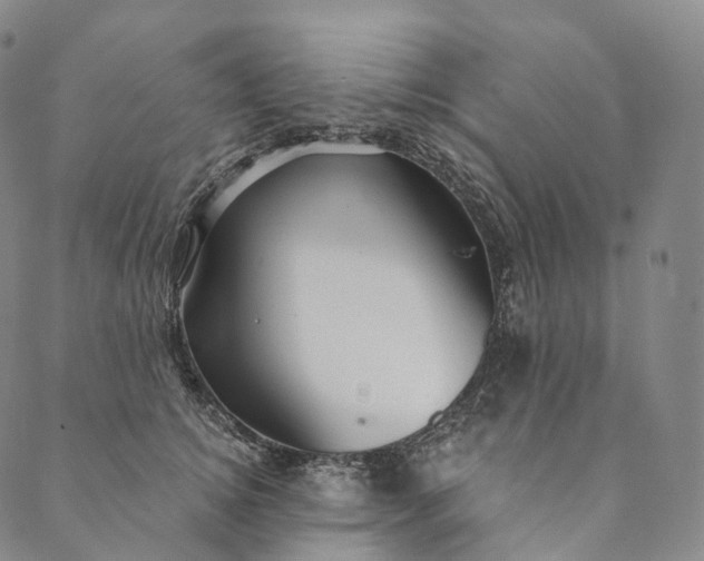 X0000089970756200707131422