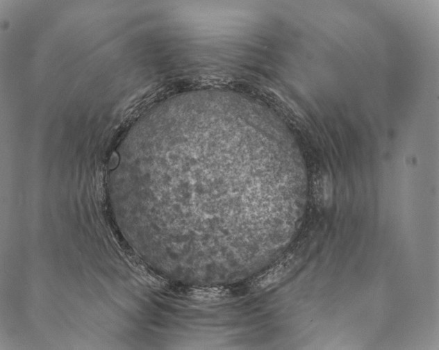 X0000089970757200707131422