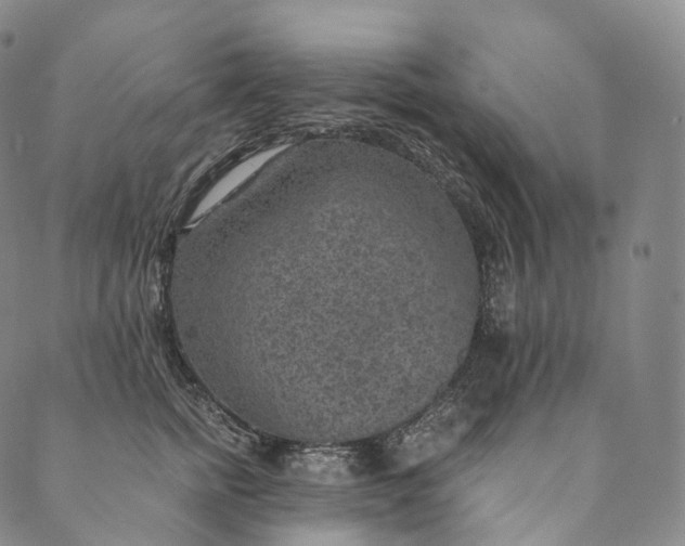 X0000089970758200707131422