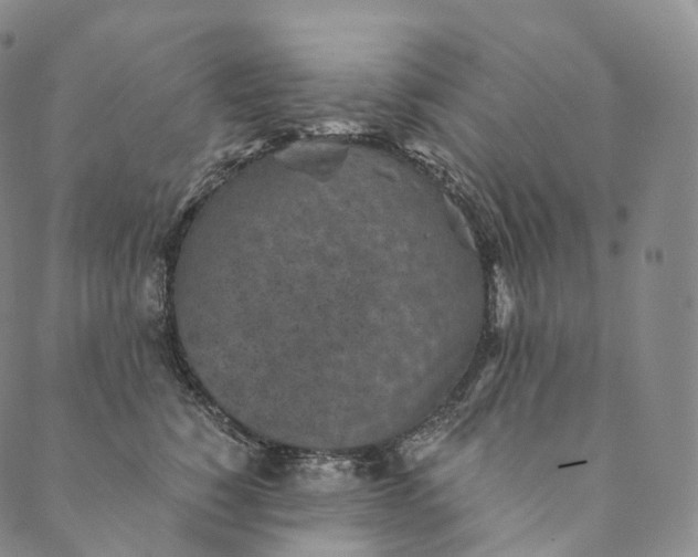 X0000089970760200707131422